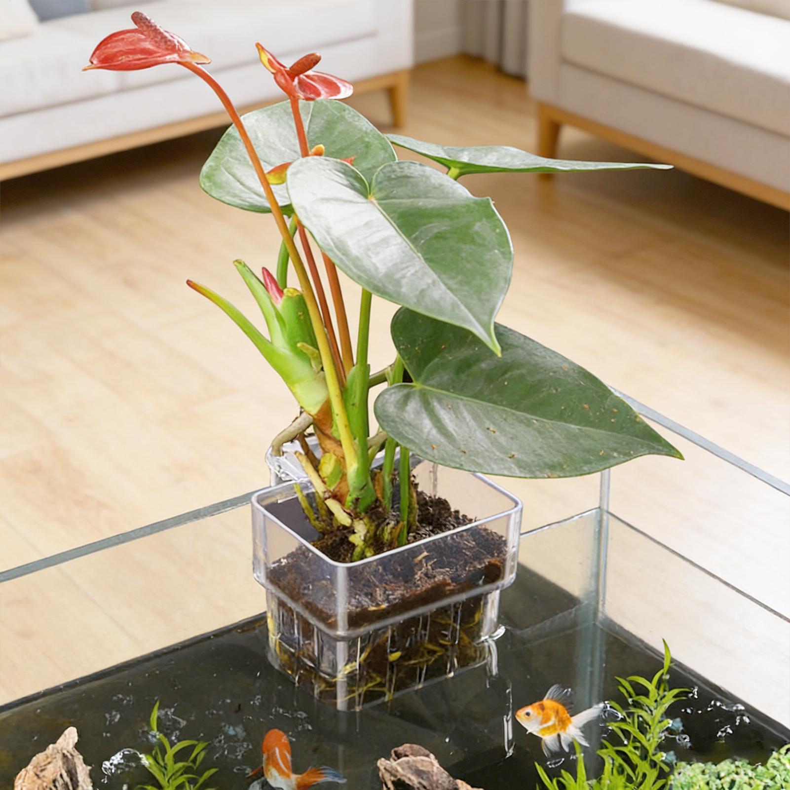 Aquarium Plant Rings - Cesta para Plantas de Acuario, Decoración