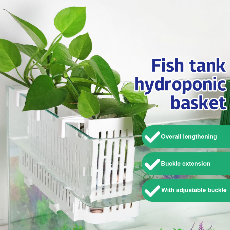 Aquarium For Planted Tank - 【F】Maceta colgante para acuario, soporte para