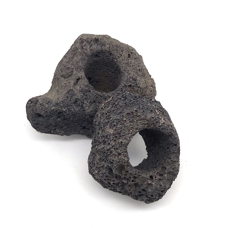 Decoración de acuario volcánic - Aquarium Plant Rings reseña y precio
