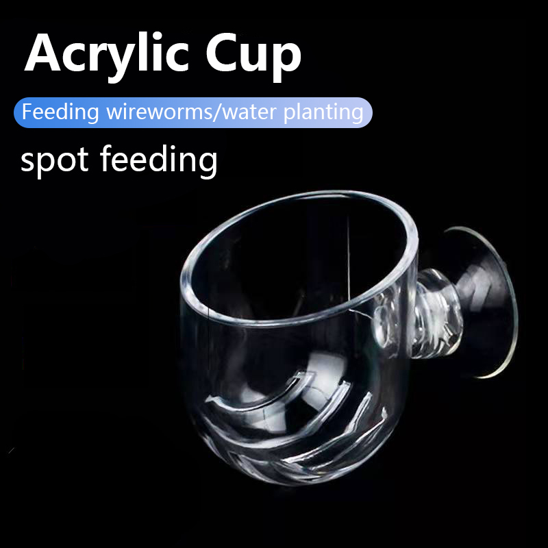 Copa de acrílico para plantas  - Planted Aquarium Products reseña y precio