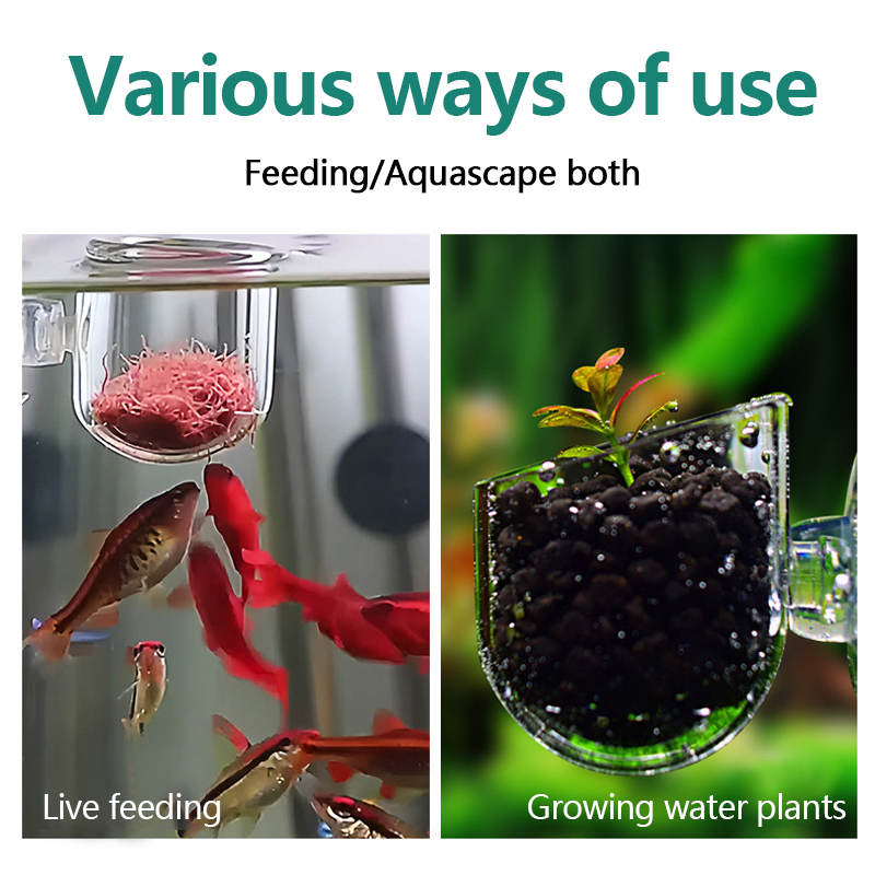 Copa de acrílico para plantas  - Planted Aquarium Products reseña y precio