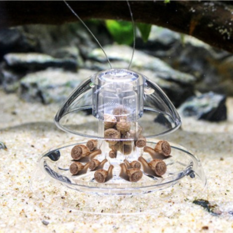 Limpiador de plástico para pec - Planted Aquarium Products reseña y precio