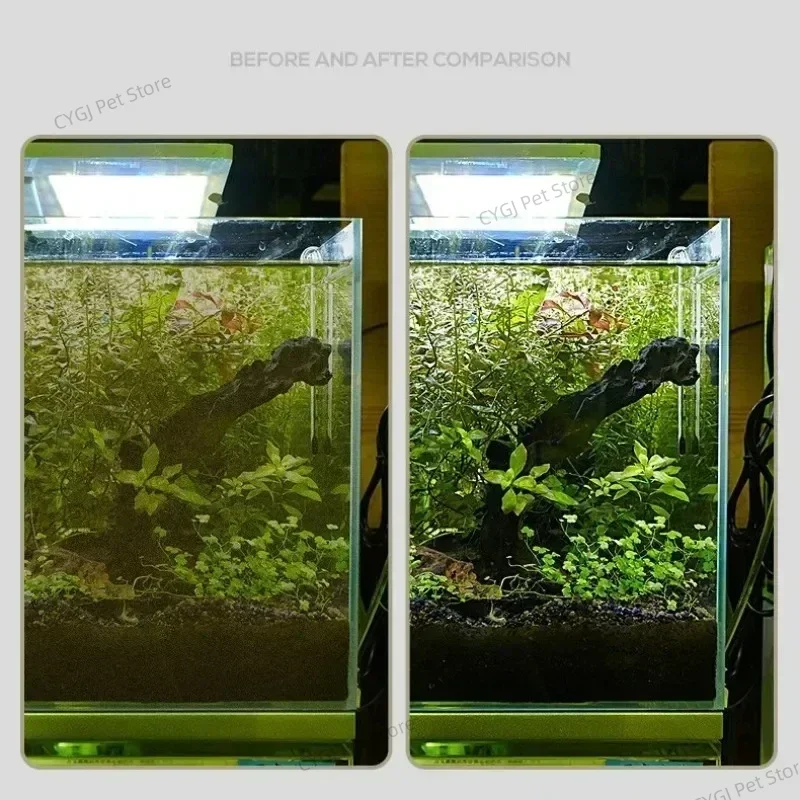 Herramienta de limpieza de pec - Planted Aquarium Maintenance Kit reseña y precio
