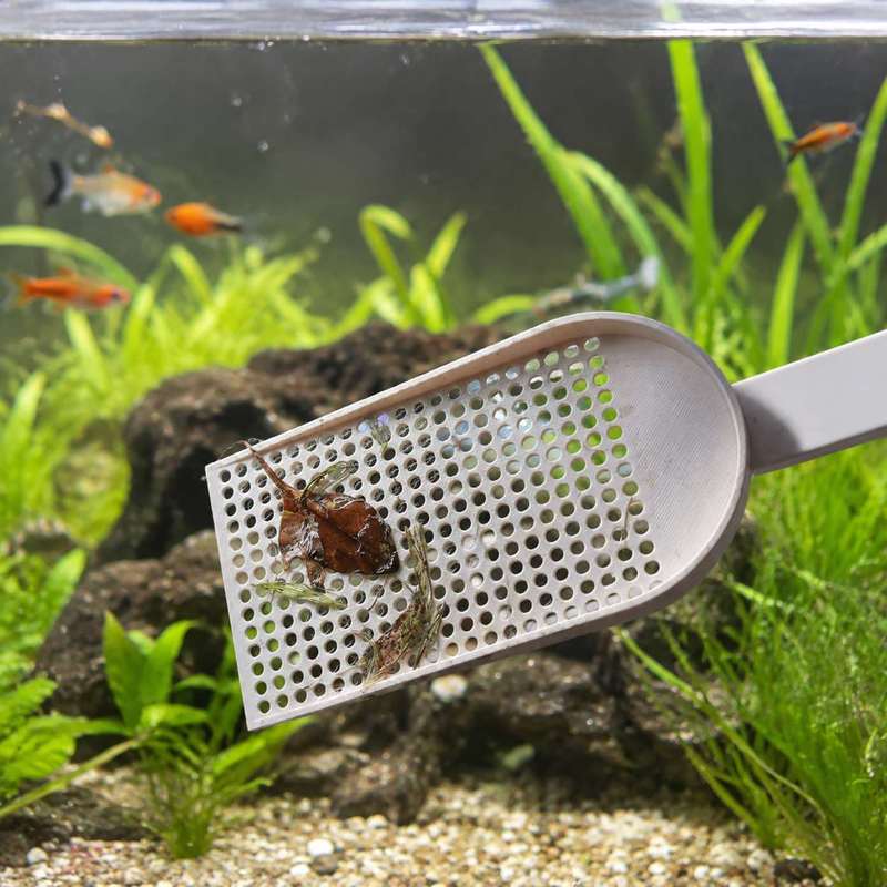 Red de Recogida de Residuos pa - Planted Aquarium Products reseña y precio