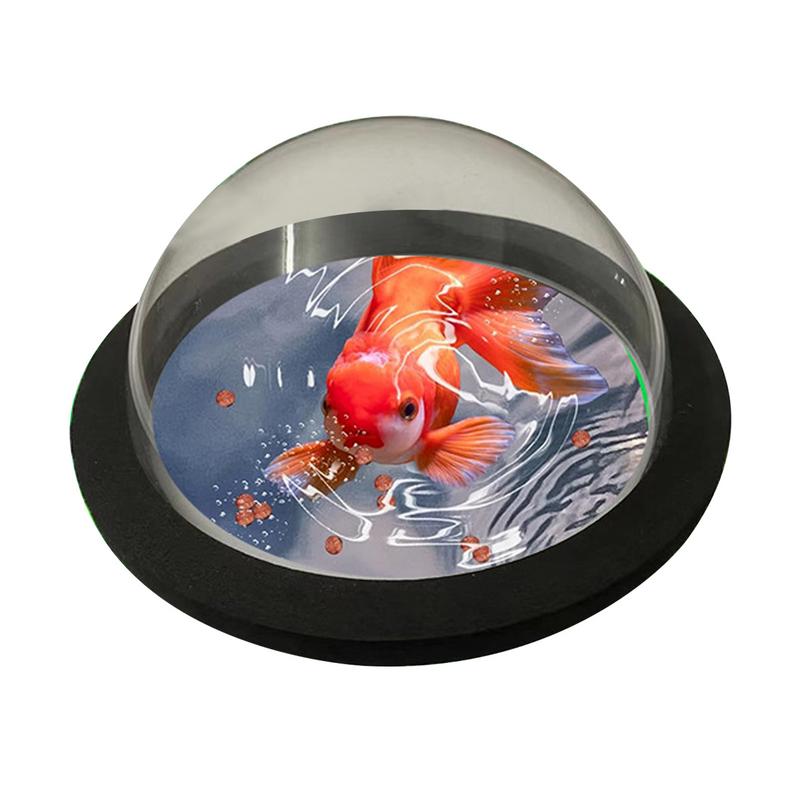 Anillo de planta flotante para - Aquarium Plant Rings reseña y precio