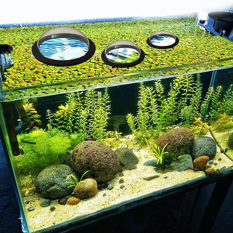 Anillo de planta flotante para - Aquarium Plant Rings reseña y precio