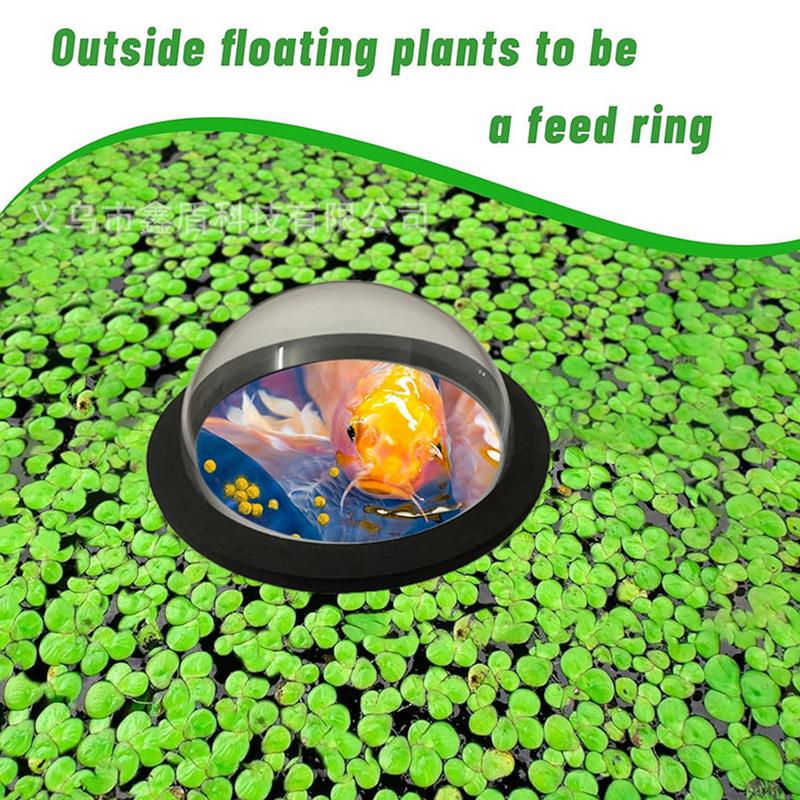 Anillo de planta flotante para - Aquarium Plant Rings reseña y precio