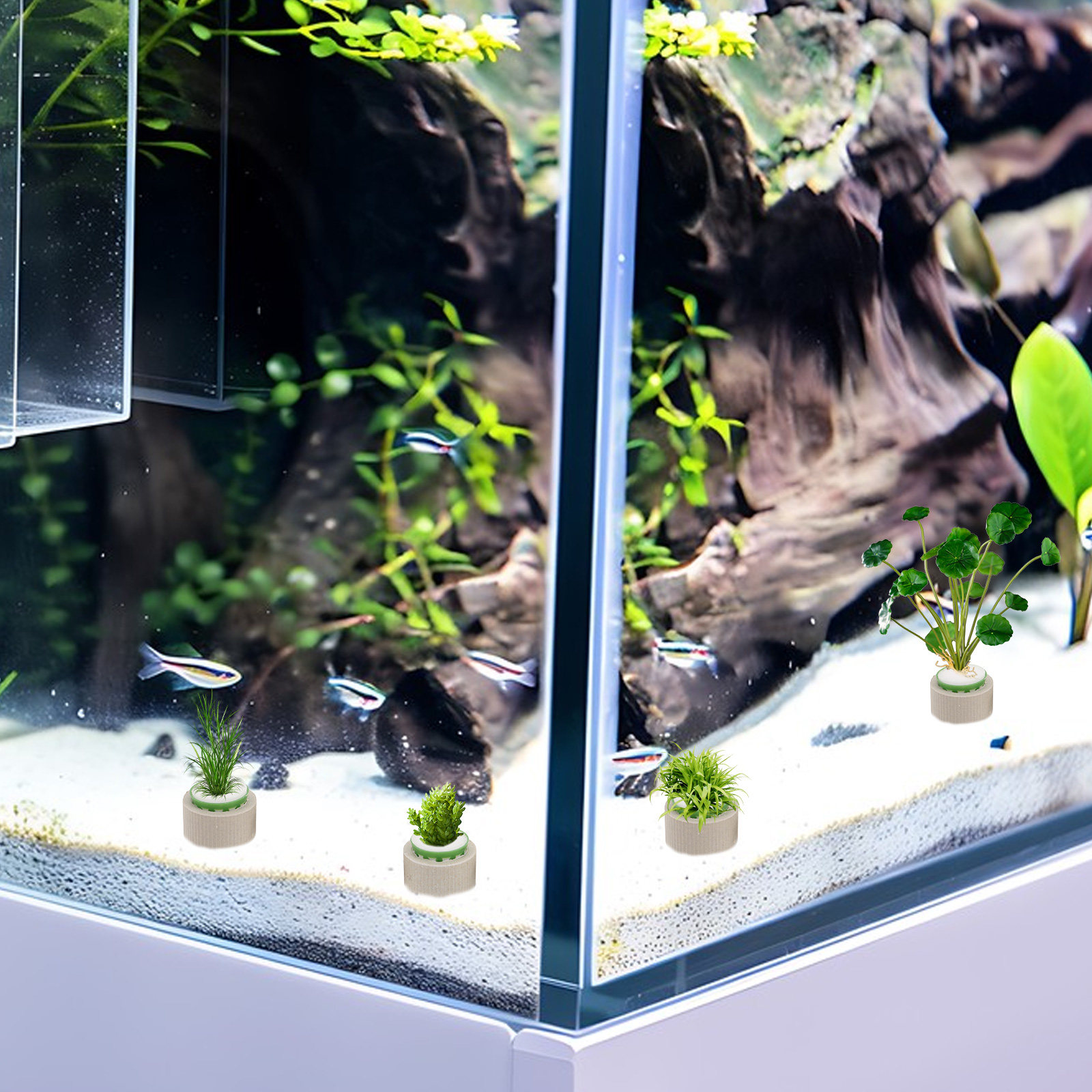 9 piezas de anillos de cerámic - Aquarium Plant Rings reseña y precio