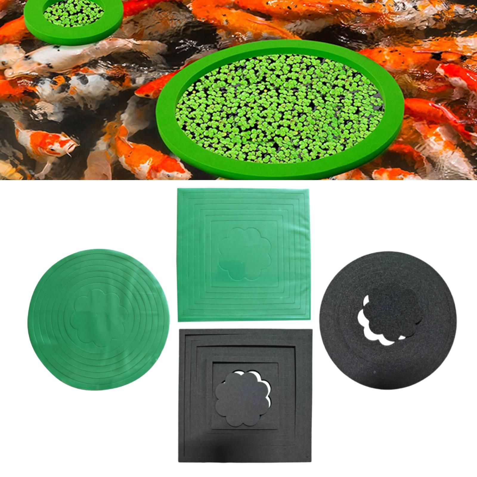Anillos Flotantes de EVA para  - Aquarium Plant Rings reseña y precio