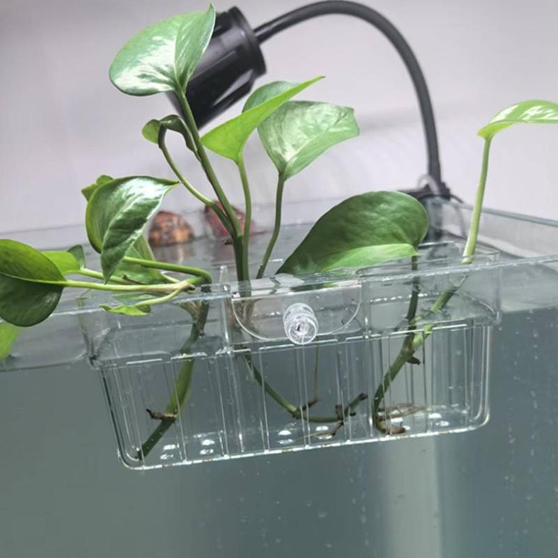 Cesta para Plantas Hidropónica - Aquarium For Planted Tank reseña y precio