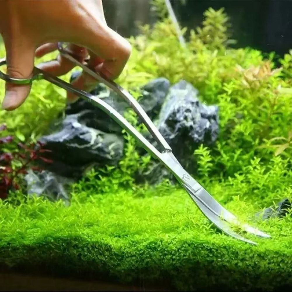 Tijeras para Acuario de Acero  - Planted Aquarium Products reseña y precio