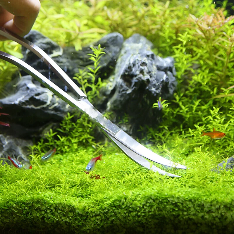 Herramientas de tijera para ac - Planted Aquarium Maintenance Kit reseña y precio