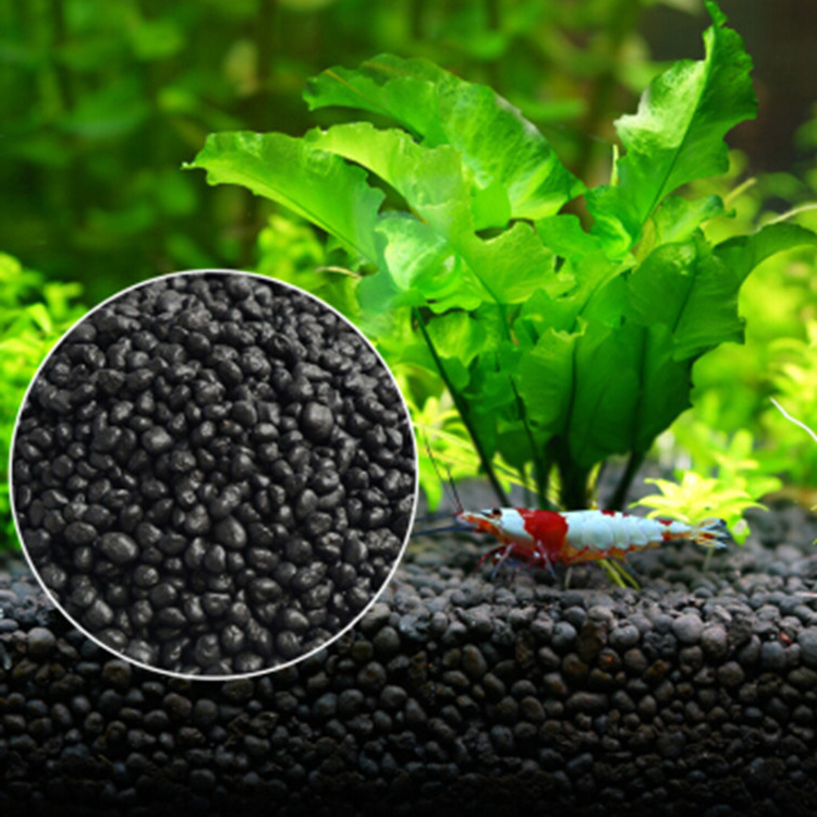 Semillas de plantas de Acuario - Aquarium For Planted Tank reseña y precio