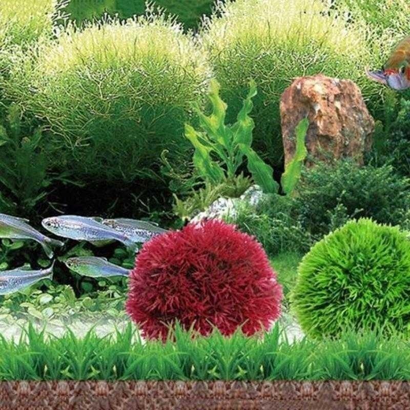 Plantas Acuáticas Artificiales - Aquarium Plant Rings reseña y precio