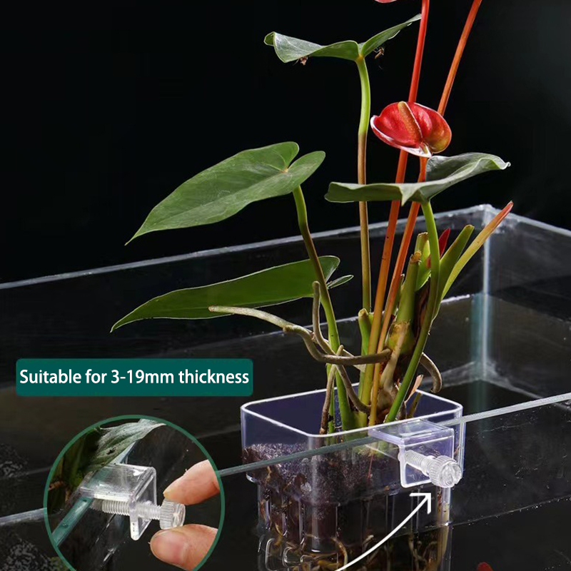 Taza de plantación de hierba d - Aquarium For Planted Tank reseña y precio