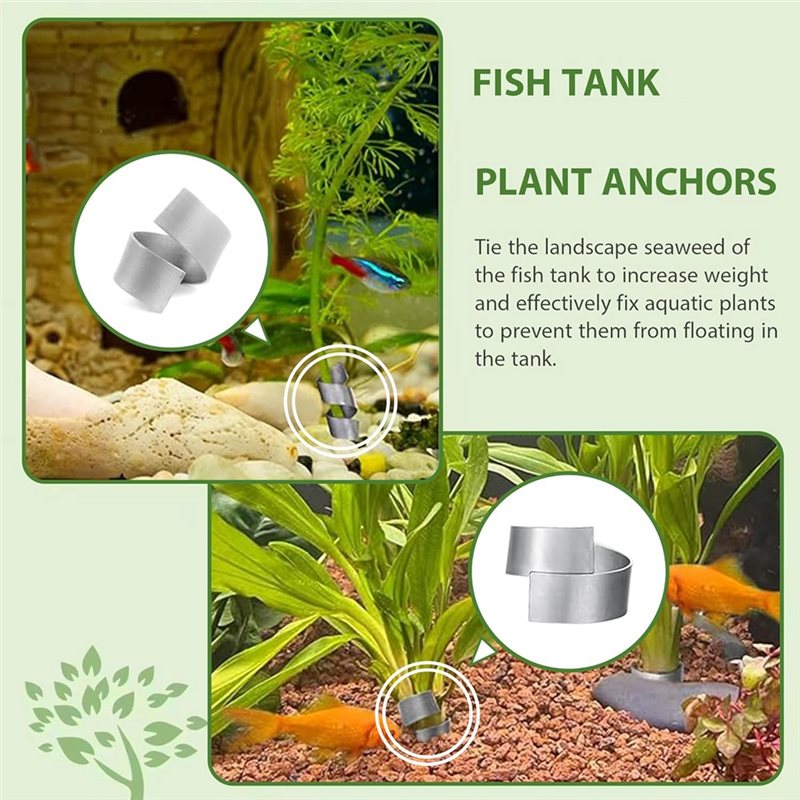 Base de Anillo Fija LLCS para  - Aquarium Plant Rings reseña y precio