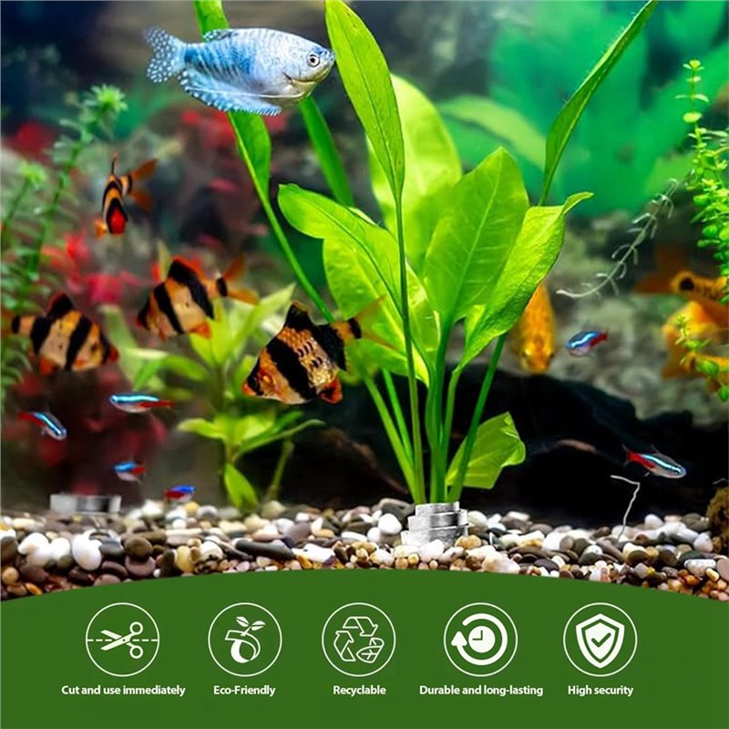Base de Anillo Fija LLCS para  - Aquarium Plant Rings reseña y precio