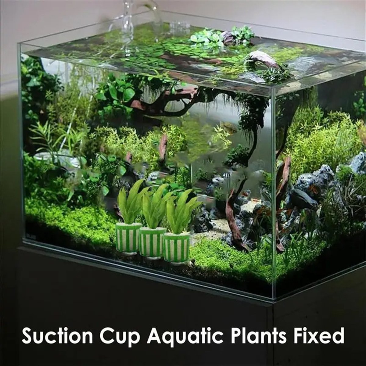 ABNQ Soporte Fijo para Plantas - Planted Aquarium Tool Kit reseña y precio