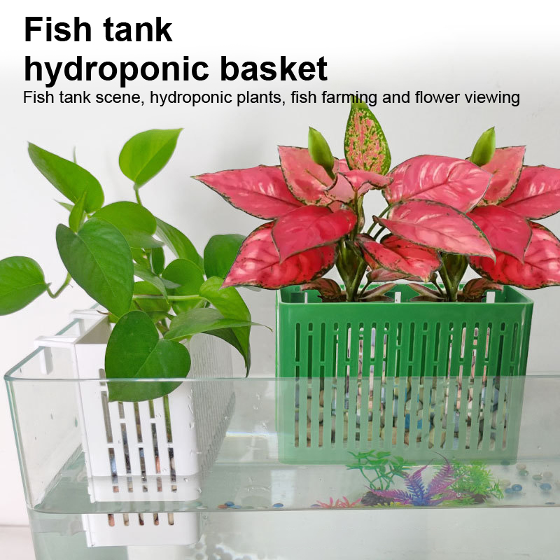 【F】Maceta colgante para acuari - Aquarium For Planted Tank reseña y precio